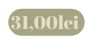 31 00lei