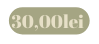 30 00lei