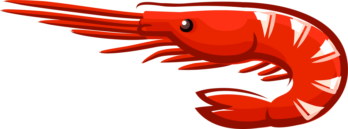 Prawn shellfish crustaceans isolated vector shrimp