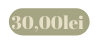 30 00lei