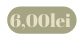 6 00lei