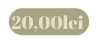 20 00lei