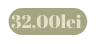 32 00lei
