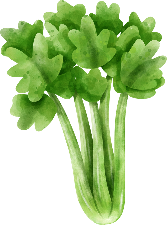 Celery
